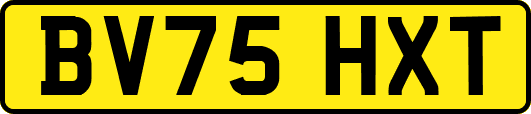 BV75HXT