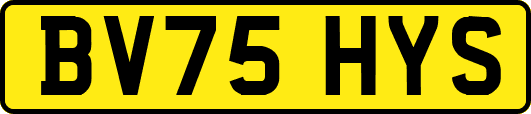 BV75HYS