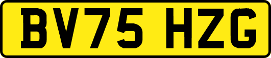 BV75HZG