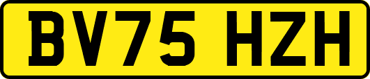 BV75HZH