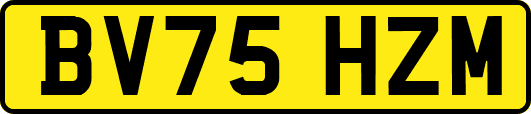 BV75HZM