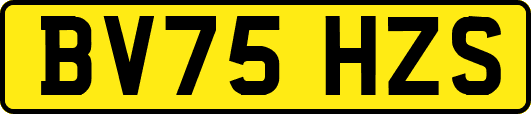 BV75HZS