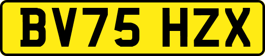BV75HZX
