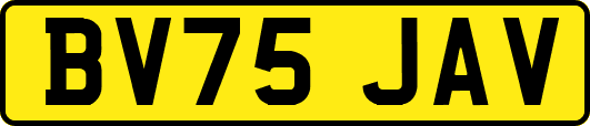 BV75JAV