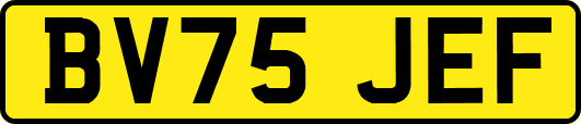 BV75JEF