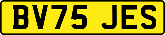 BV75JES