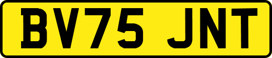 BV75JNT