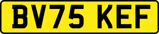 BV75KEF