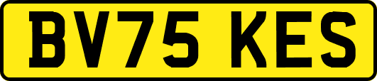 BV75KES