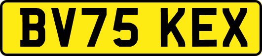 BV75KEX