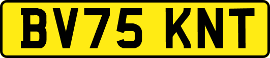 BV75KNT