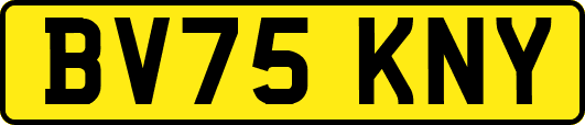 BV75KNY