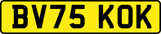BV75KOK