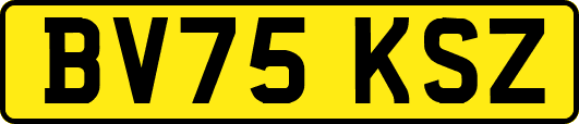 BV75KSZ