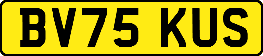 BV75KUS