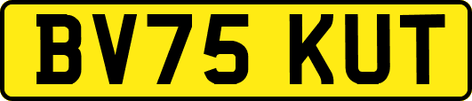 BV75KUT