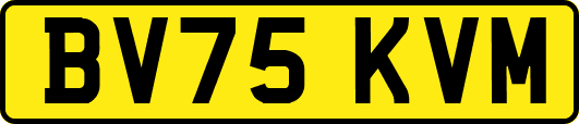 BV75KVM