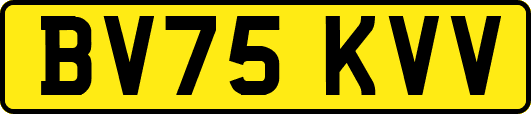 BV75KVV