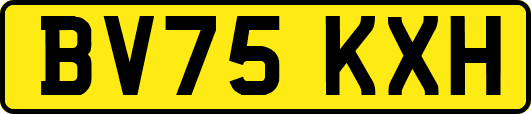 BV75KXH
