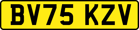 BV75KZV