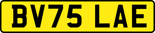 BV75LAE
