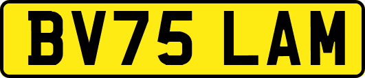 BV75LAM