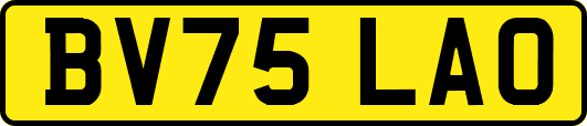 BV75LAO