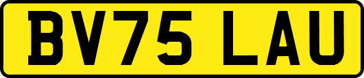 BV75LAU