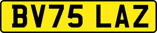 BV75LAZ