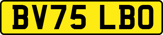BV75LBO