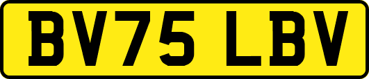 BV75LBV