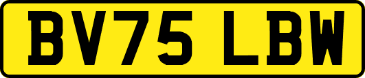 BV75LBW
