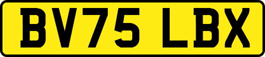 BV75LBX