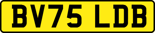 BV75LDB