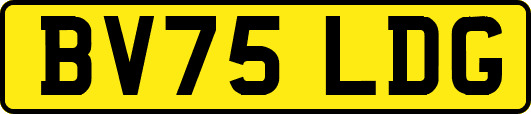 BV75LDG