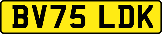 BV75LDK
