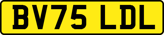 BV75LDL