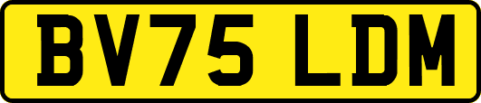 BV75LDM