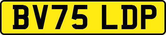 BV75LDP