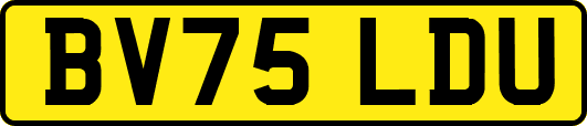 BV75LDU