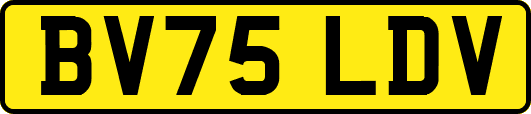 BV75LDV