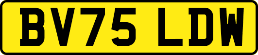 BV75LDW