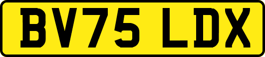 BV75LDX