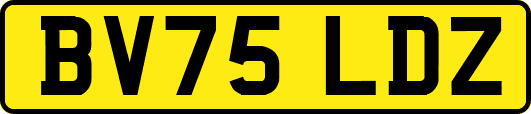 BV75LDZ