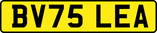 BV75LEA