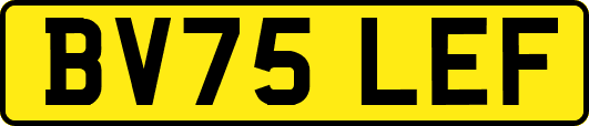BV75LEF