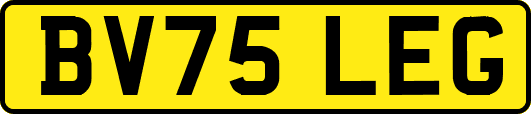 BV75LEG