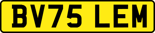 BV75LEM
