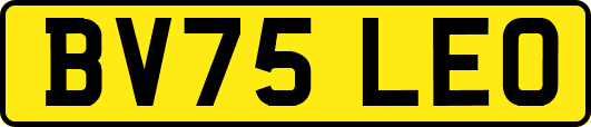 BV75LEO