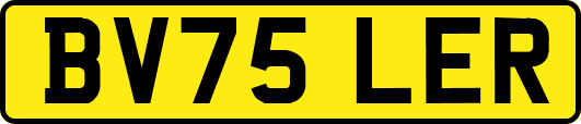 BV75LER
